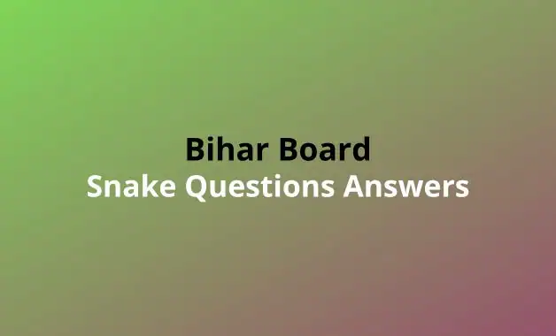 Snake Questions Answers PDF